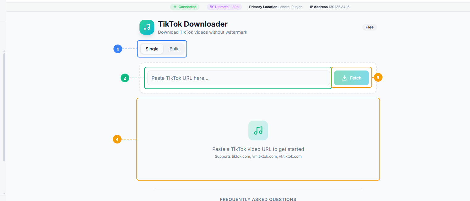 FaceBot TikTok Downloader interface showing Single and Bulk mode tabs, URL input field, Fetch button, and results area